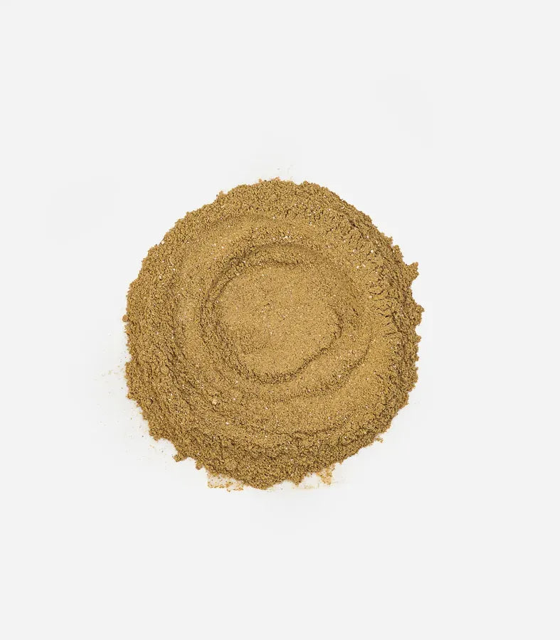 Moisture Blast